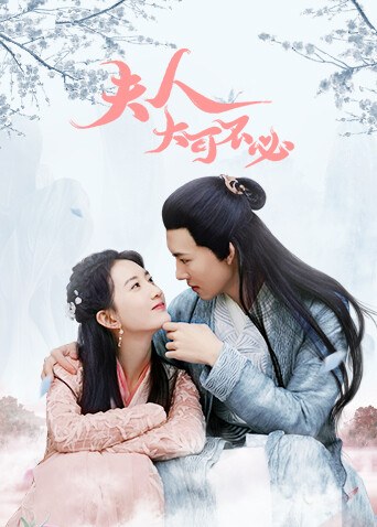 《夫人，大可不必》官方海报